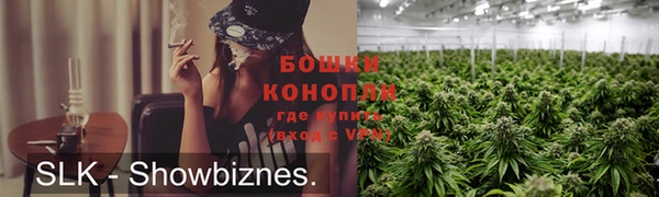 первитин Новозыбков