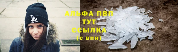 spice Новодвинск