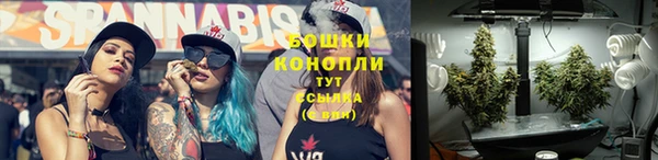 первитин Новозыбков