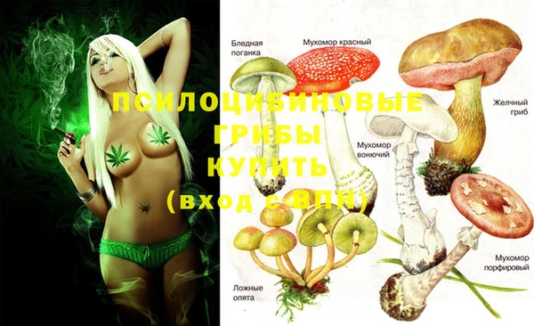 меф Новокубанск