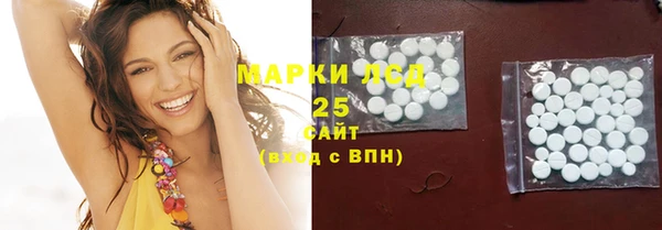 spice Новодвинск