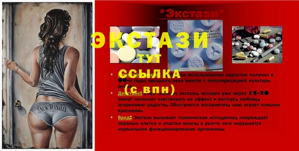 spice Новодвинск