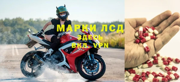 spice Новодвинск