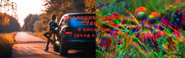 первитин Новозыбков